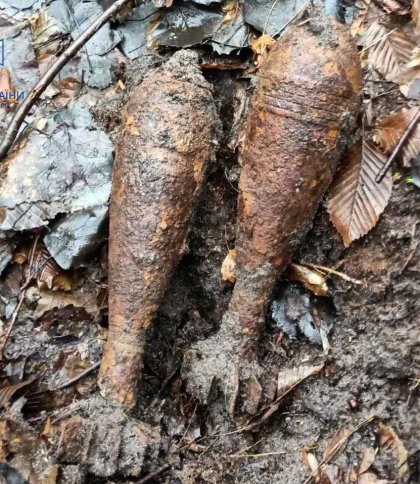 На Золочівщині під час прогулянки лісом знайшли застарілі боєприпаси (фото)
