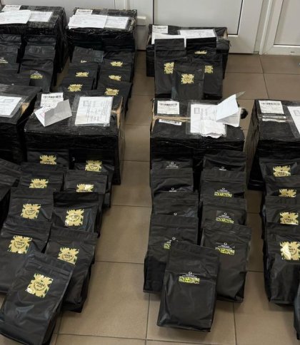 Львівські митники знайшли у посилках з Чехії 400 кг психотропів