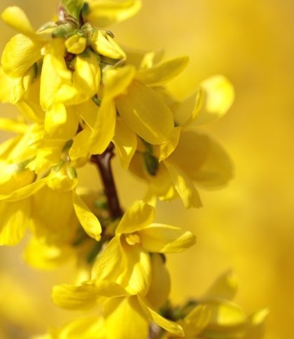 Прогноз погоди у Львівській області на вівторок, 12 квітня