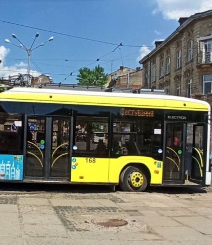 У Львові через аварійне дерево тимчасово не курсують два тролейбусні маршрути