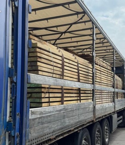 Підприємець зі Зимноводівської громади хотів вивезти до Польщі контрабандний дуб