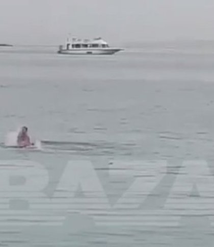 Акула вбила росіянина в Єгипті: українці відреагували мемами (фото, відео)