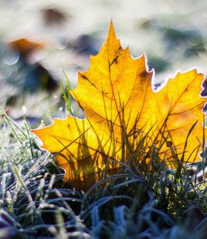 Погода на Львівщині 7 листопада 2025