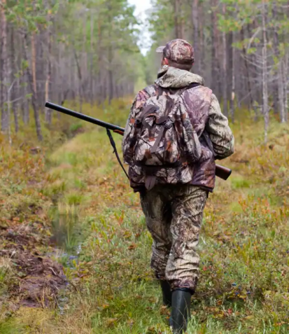 У Львівській ОВА пояснили важливість регулювання чисельності диких тварин