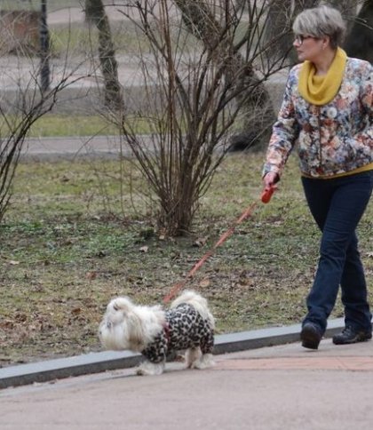 У Львівській міськраді розповіли, які штрафи чекають на господарів, котрі не прибиратимуть за своїми тваринами