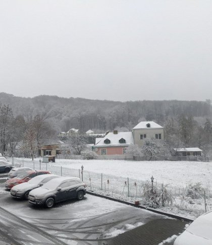 У Львові випав перший сніг (фото)