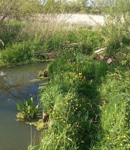 На Львівщині впорядкують одну з приток Західного Бугу