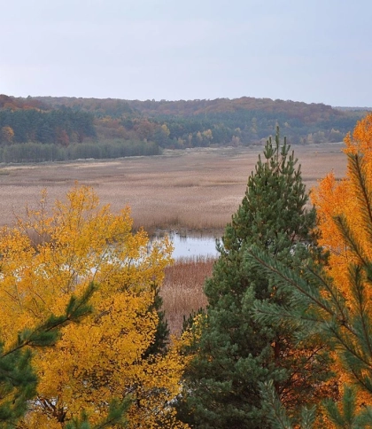 На Львівщині створили 3D-тур унікальним водно-болотним угіддям заповідника “Розточчя”