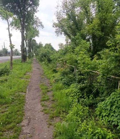 В Городку за майже 17 млн грн продали ділянку під торговий центр з кінотеатром