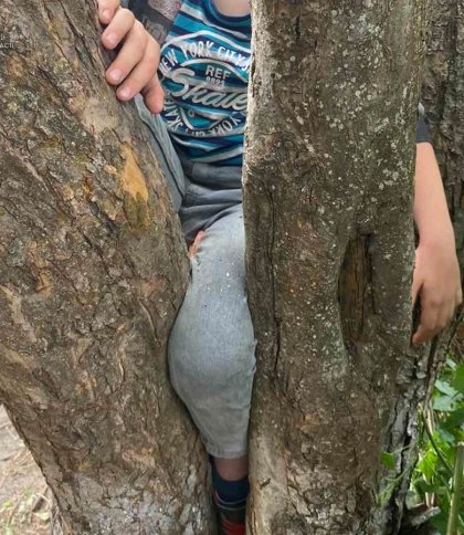 На Львівщині рятувальники допомогли хлопчику, нога якого застрягла поміж гілок дерева