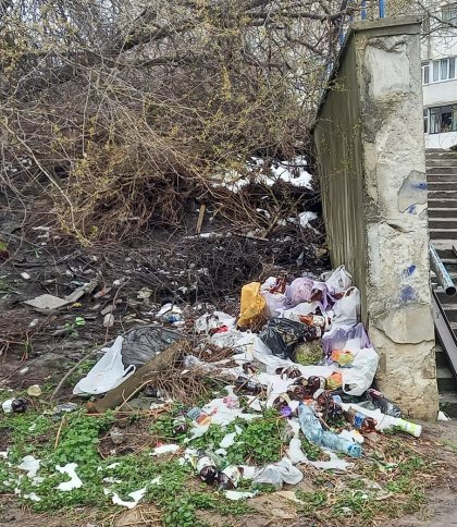 Поблизу школи на Сихові львів’яни утворили сміттєзвалище