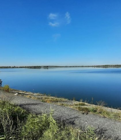 АМКУ розслідує змову підприємств під час аукціону на видобування торфу поблизу Львова