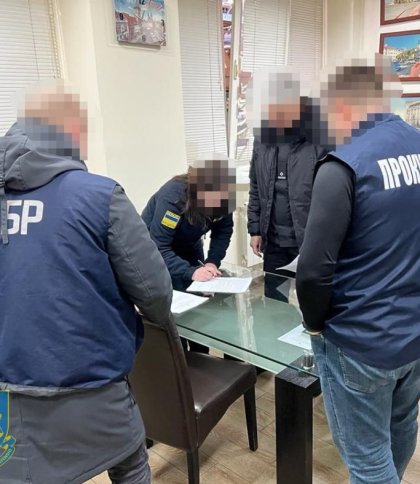 Інспекторка митниці