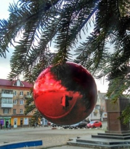 В одному з міст на Львівщині не прикрашатимуть до свят ялинку на центральній площі