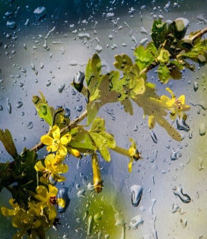 Гроза, град і до +24°: прогноз погоди на 22 травня у Львові та області 70