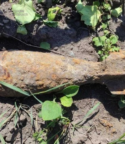 У двох районах Львівщини за день знайшли застарілі боєприпаси