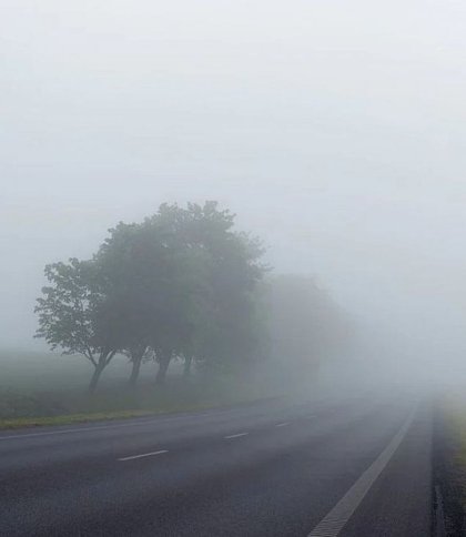 Без опадів, але туманно: яку погоду очікувати на Львівщині 13 квітня