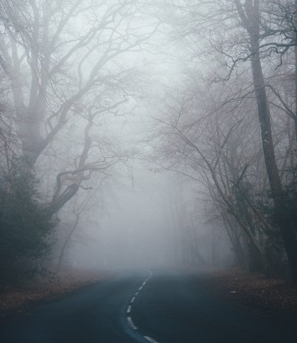 На Львівщині туман: водіїв попереджають про погіршення видимості на дорогах