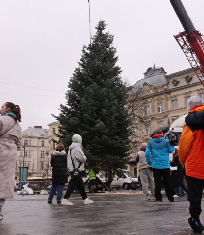 Відкриття головної ялинки Львова