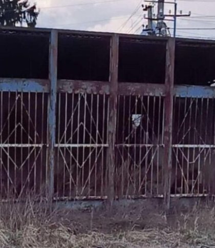 У селі Львівської громади демонтують ще один незаконний кіоск