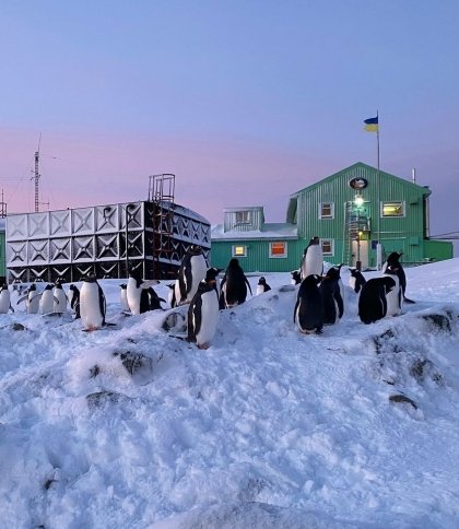 Пряме включення з Антарктиди: науковці проведуть екскурсію станцією «Академік Вернадський»
