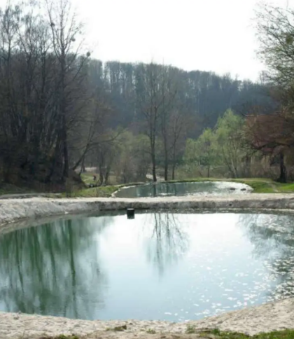 Знайшли підтвердження через соцмережі: у Львові поліція розслідує забруднення одного з озер