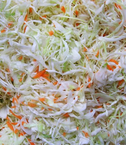 Маринована капуста “п’ятихвилинка”: рецепт хрумкої закуски