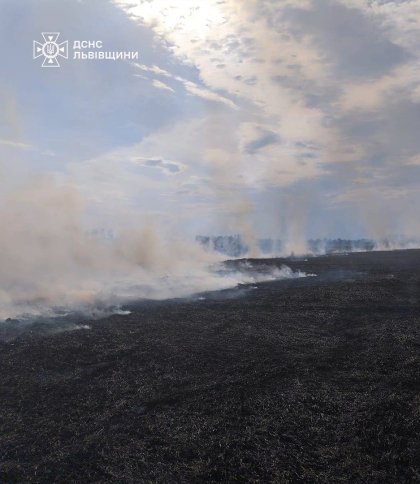 22-річний чоловік ледь не загинув під час пожежі сухостою на Львівщині