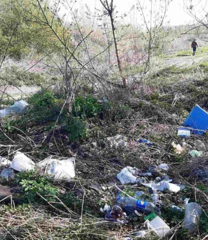 На Львівщині виявили одразу кілька стихійних сміттєзвалищ