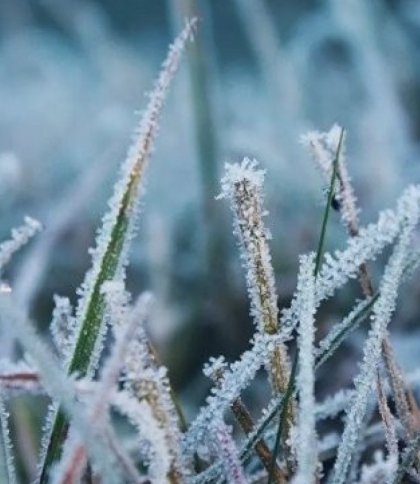 У Львівській області синоптики прогнозують заморозки