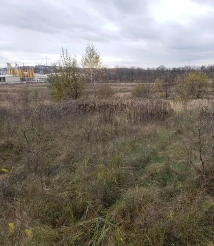 Київський підприємець викупив ще одну ділянку за 3,3 млн грн на Львівщині