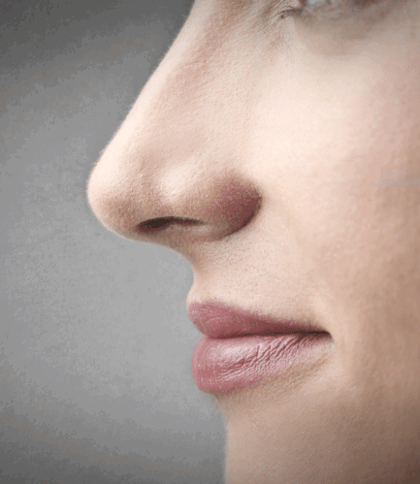 Чому людям не подобається власний ніс, і як це пов’язано із матір’ю: відповідь вчених