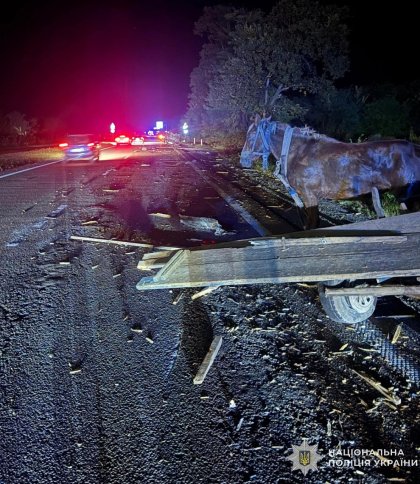 Водійка Mitsubishi в'їхала у підводу на Золочівщині: загинула жінка