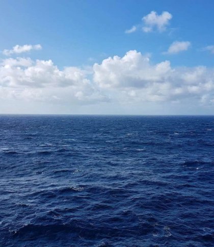 Крах течій Атлантичного океану: що це таке, коли це може статися та якими можуть бути наслідки