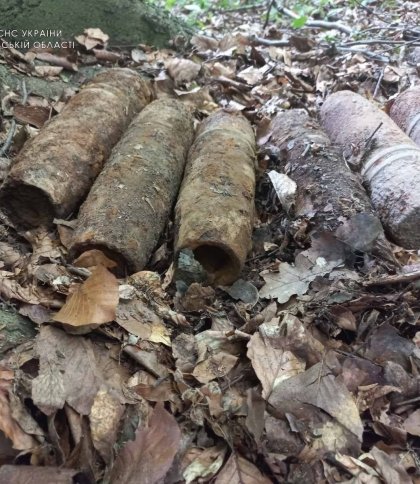 ДСНС виявили та знищили у Львові 7 артилерійських снарядів часів Другої світової війни