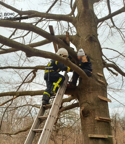 На Львівщині рятувальники зняли з дерева 10-річну дівчинку. Фото: ДСНС