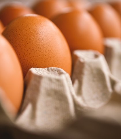 В Україні продаватимуть яйця за новими критеріями: що зміниться