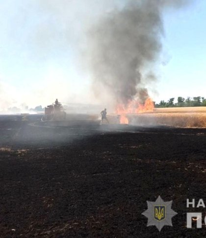На Запоріжжі внаслідок обстрілу росіян згоріло 70 гектарів пшениці