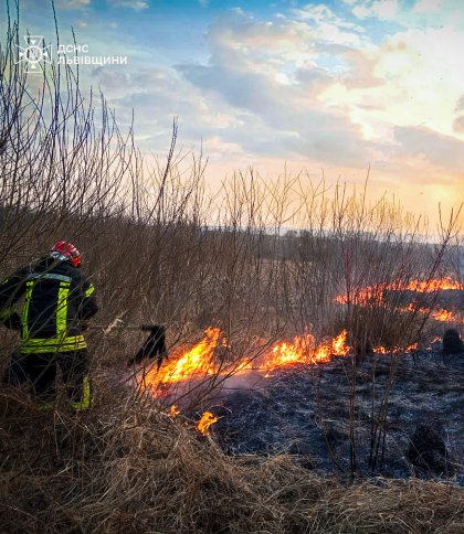 На Львівщині серед обгорілої трави знайшли тіло 72-річної жінки