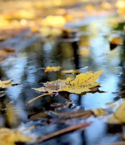 Погода Львів 16 листопада: прогноз на день і ніч