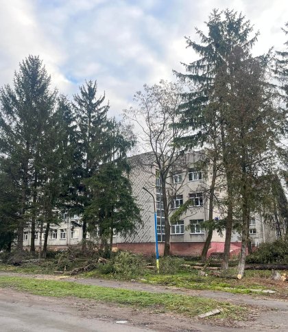На Львівщині вчителька початкових класів побила учня у школі