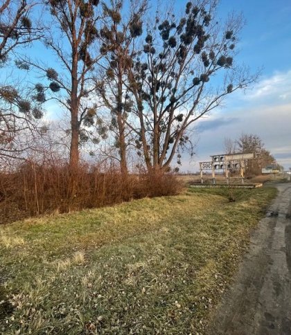 Підприємець викупив дві земельні ділянки поблизу Жовкви за понад 2,6 млн грн