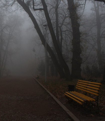 Погода у Львові та області 9 жовтня: туман, дощ і до +16°C