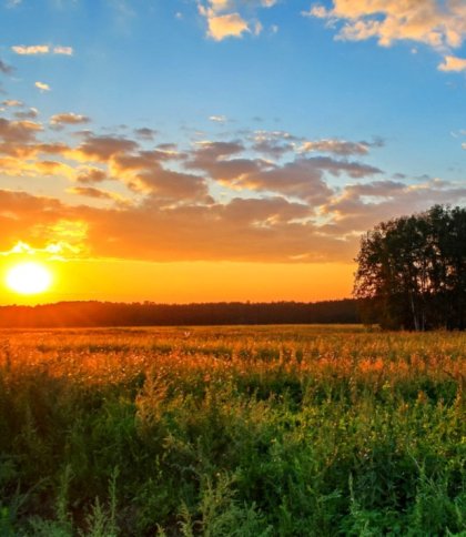 На Львівщині у п’ятницю синоптики прогнозують до 34 градусів тепла