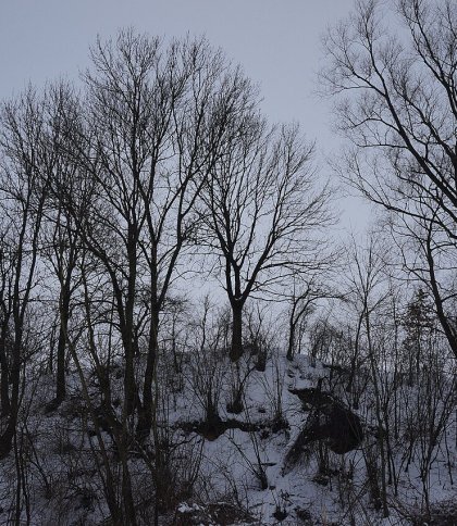 Залишки городища в урочищі Замчисько