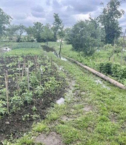 Затопило городи та поля: на Львівщині прорвало дамбу річки