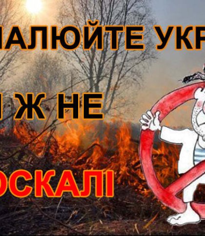 "Палії трави працюють": на Львівщині за добу вогонь вразив понад 7000 кв. метрів