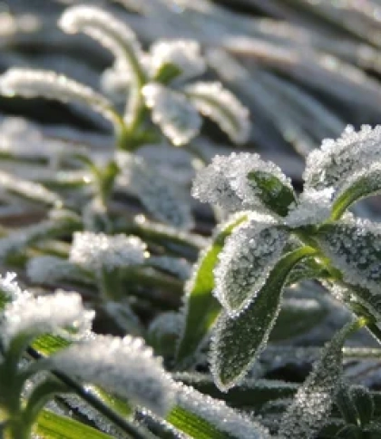 У Львові та області синоптики 19 листопада прогнозують заморозки та ожеледицю