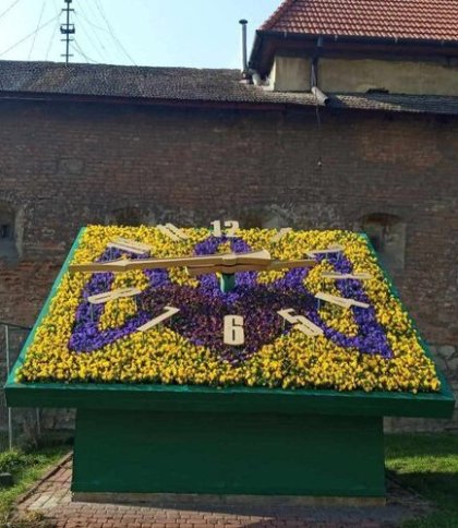 У Львові на квітковому годиннику висадили півтори тисячі квітів