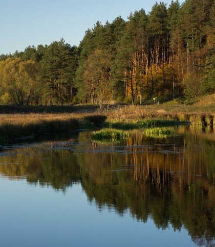 Селищній раді на Львівщині повернули земельну ділянку площею 22,5 га